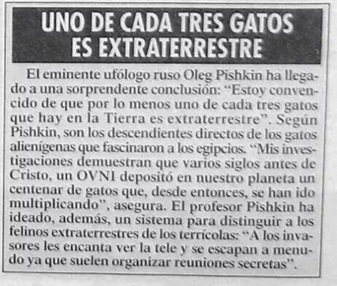 Diverint's tweet photo. Imágenes graciosas: Gatos extraterrestres → https://t.co/OHy5tqq1Hg

#FotosChistosas #FotosGraciosas #ImagenesChistosas #ImágenesDivertidas #ImagenesGraciosas https://t.co/sv8B7nu8J3