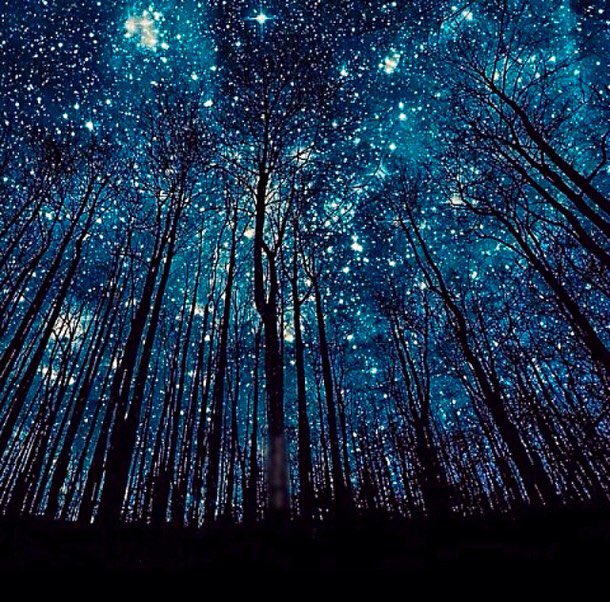 gemsays's tweet image. Goodnight friends.  Don’t waste time worrying what people think of you...most people don’t know what they think of themselves.