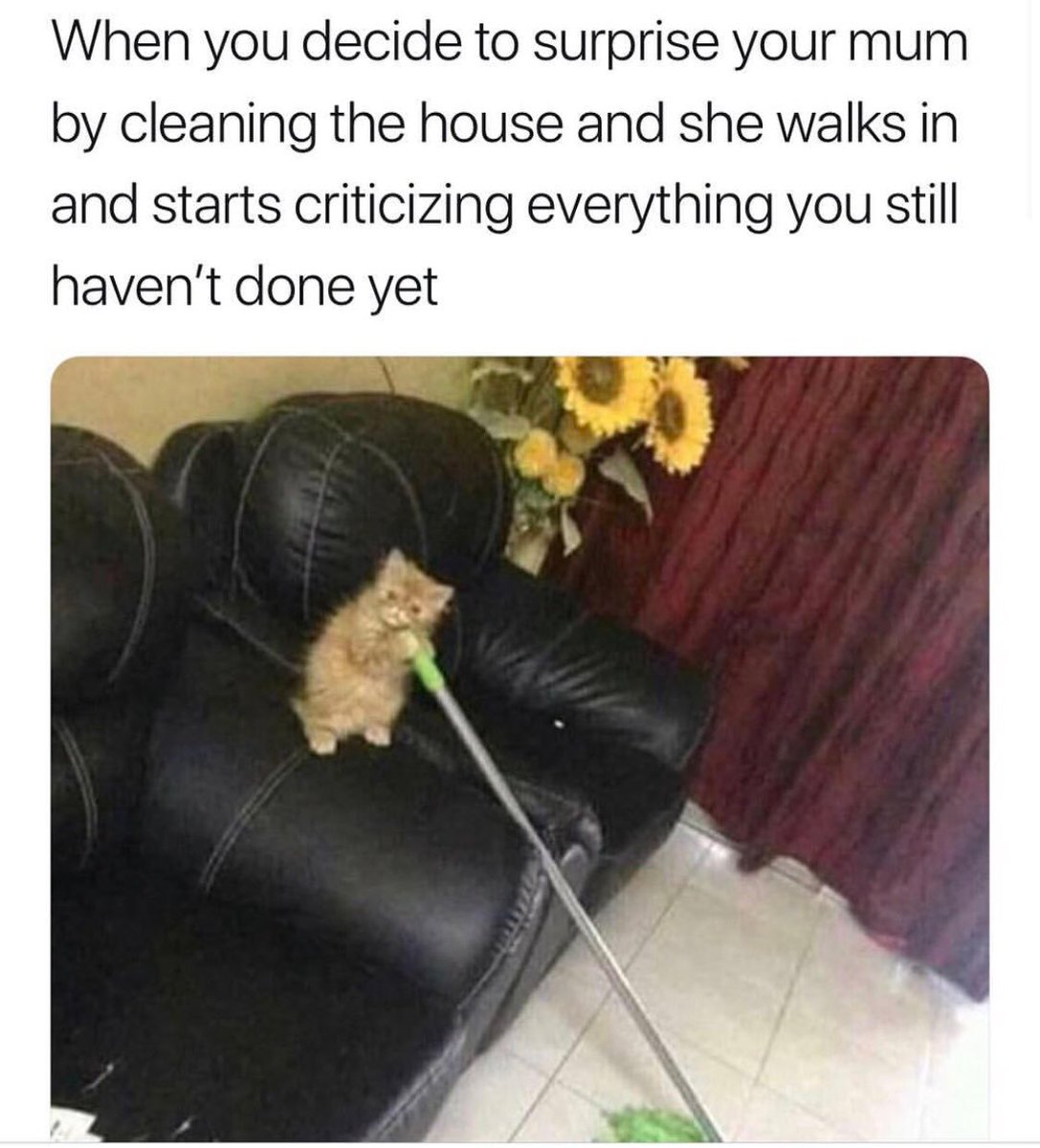 PlusTimeAus's tweet photo. lol always... #cleaningtruth #cleaning #itried https://t.co/JOqwhVlZvD