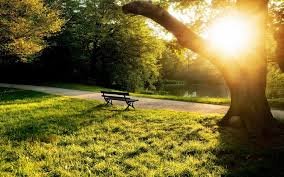 PoshStorybook's tweet photo. Which is more important: Presents or presence?  Here is a poem for that- https://t.co/ghqmHN3jNH #poetry #presents #presence #gift #amwriting #Bench https://t.co/87VRFIN61M