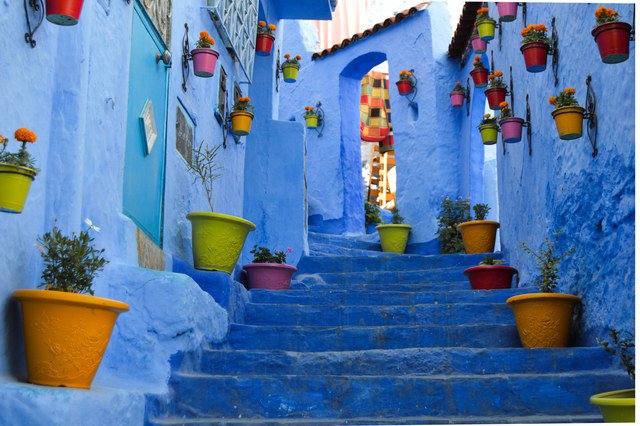 ArchDigest's tweet photo. We found 19 of the most beautiful streets in the world: https://t.co/xpOHMFR3kk https://t.co/7DuLGgWNAj
