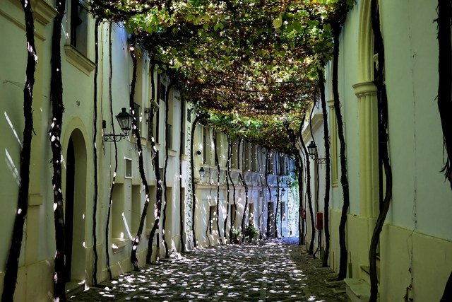 ArchDigest's tweet photo. We found 19 of the most beautiful streets in the world: https://t.co/xpOHMFR3kk https://t.co/7DuLGgWNAj