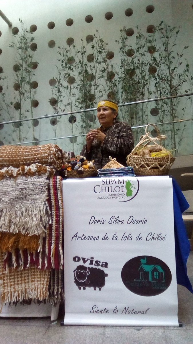 CesarLevin's tweet photo. Una parte de Chiloé en la moneda, mañana último día. @HarryJurgensen @radiochiloe @andres_btos @PazAlzaTuVoz @Miundux @Manejara @ConiscSaavedra @Miundux @09mariafernanda @DerechaTuitera @EquipoKast @IngridSchettino @Fernandoborquez  un RT por favor #ChiloeEnLaMoneda https://t.co/ZmFDsYjikR