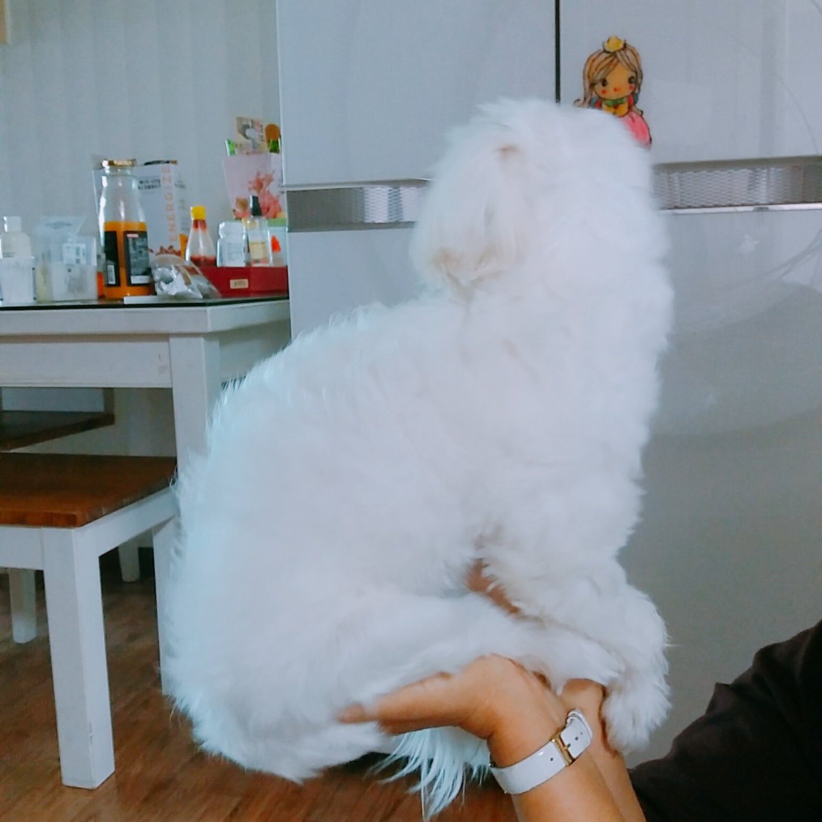 WhiteSpring_128's tweet photo. 포즈 무엇ㅋㅋㄲㅋ https://t.co/fv5ZFSnb4T