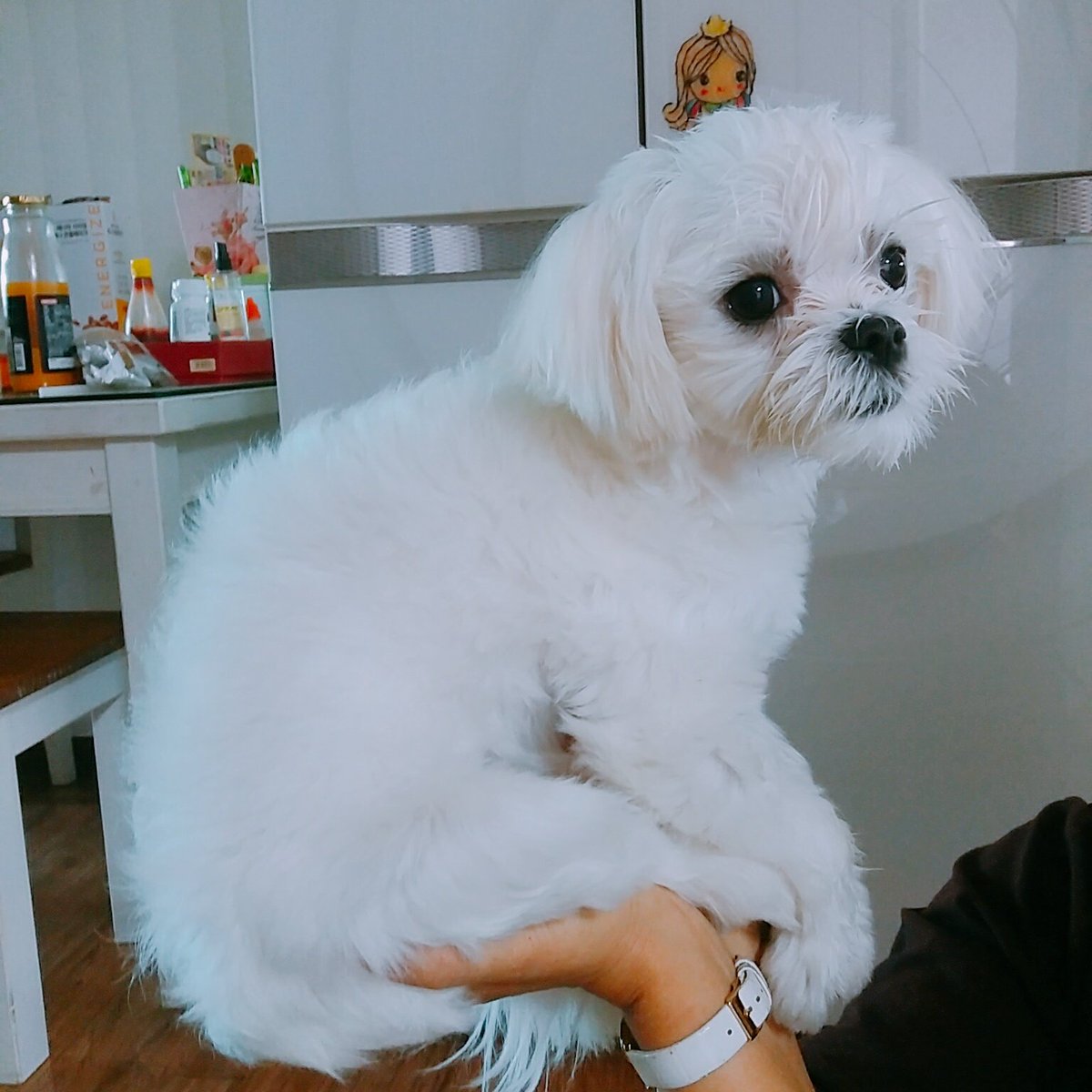 WhiteSpring_128's tweet photo. 포즈 무엇ㅋㅋㄲㅋ https://t.co/fv5ZFSnb4T