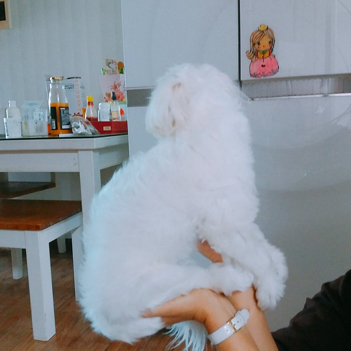 WhiteSpring_128's tweet photo. 포즈 무엇ㅋㅋㄲㅋ https://t.co/fv5ZFSnb4T