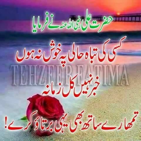 Mohsin Alvi (@mohsinmalvi19) on Twitter photo 