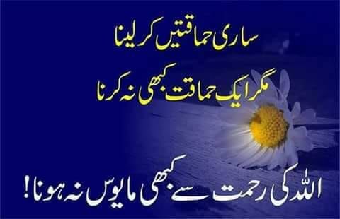 Mohsin Alvi (@mohsinmalvi19) on Twitter photo 