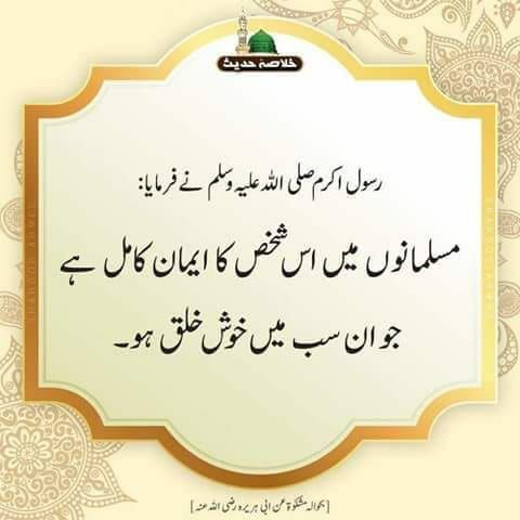 Mohsin Alvi (@mohsinmalvi19) on Twitter photo 