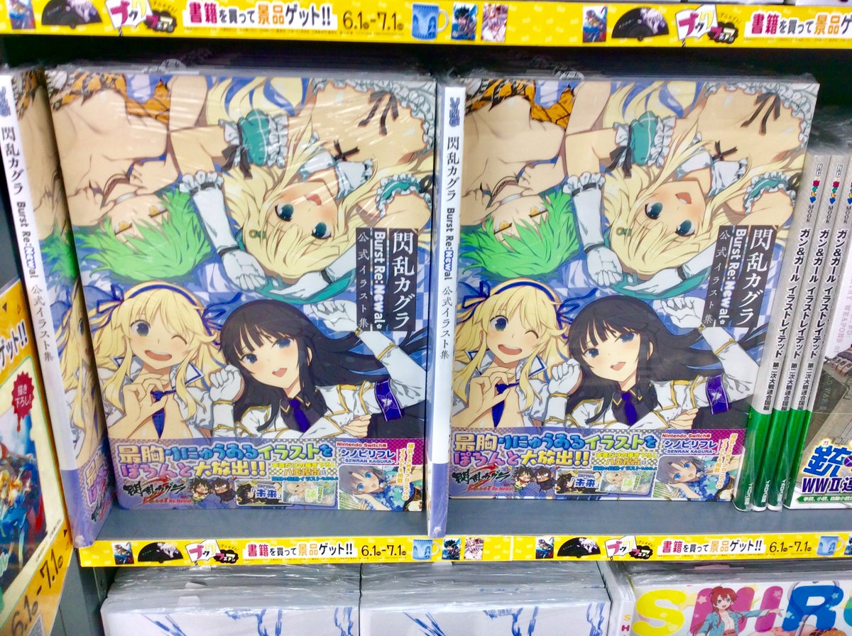 閃乱カグラ Burst Re:Newal 公式イラスト集
