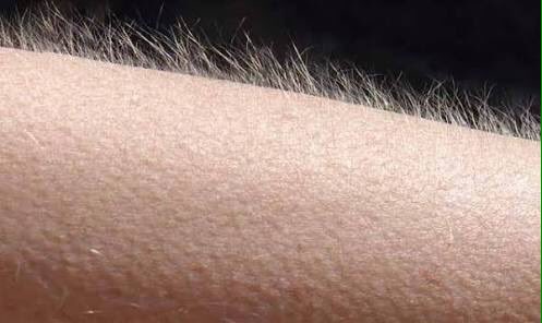 reyes_mark25's tweet photo. “The atmosphere is changing now.”
“For the spirt of the Lord is here.” https://t.co/ltIW5uKqfH