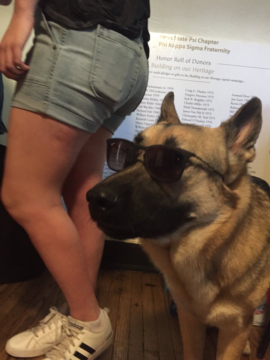 PSU Phi Kappa Sigma tweet media