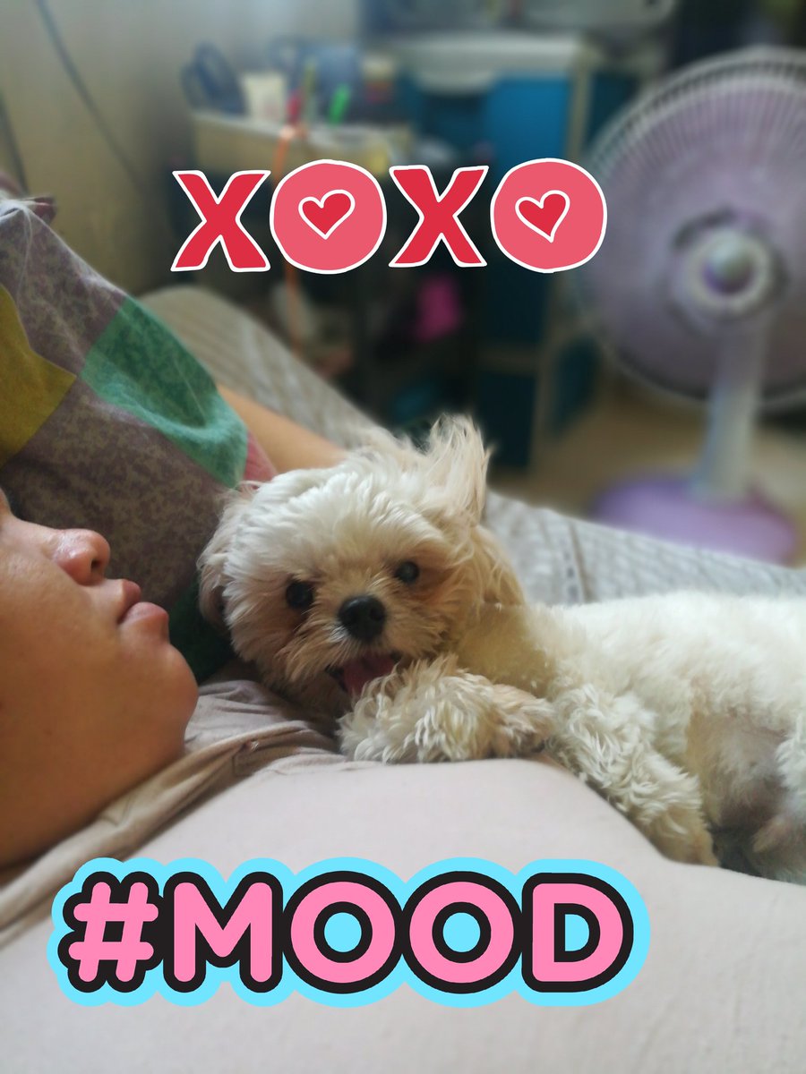 songblurd17's tweet photo. Weekend feels https://t.co/Guya0OtG14