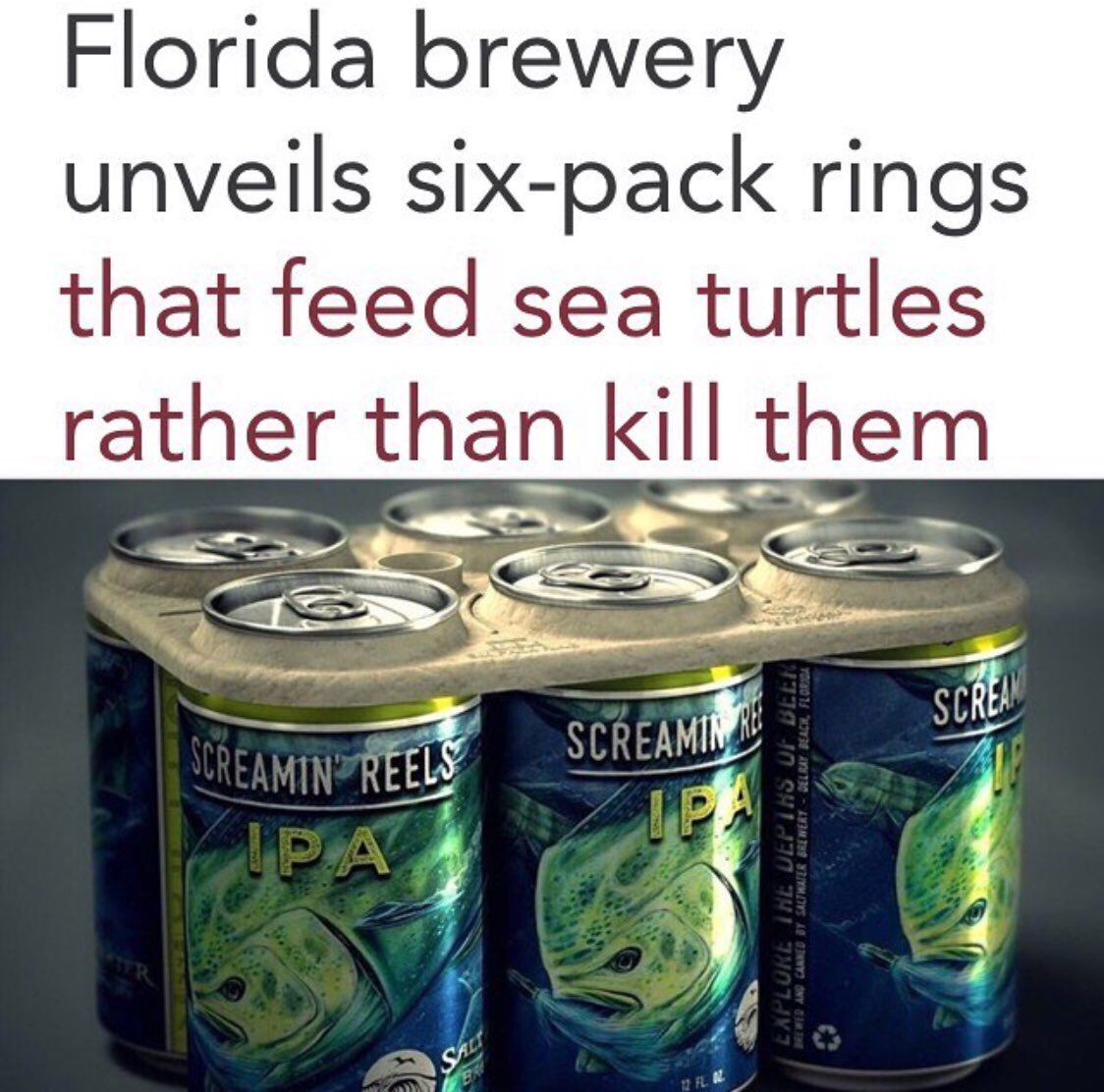 taylorndean's tweet photo. Since we can’t stop idiots from littering, this is a smart alternative. Made from barley and if a turtle gets a munch of it it’ll just feed them... not wrap around/inside their body and kill them 🤷🏻‍♀️ https://t.co/NGSyacH8D4