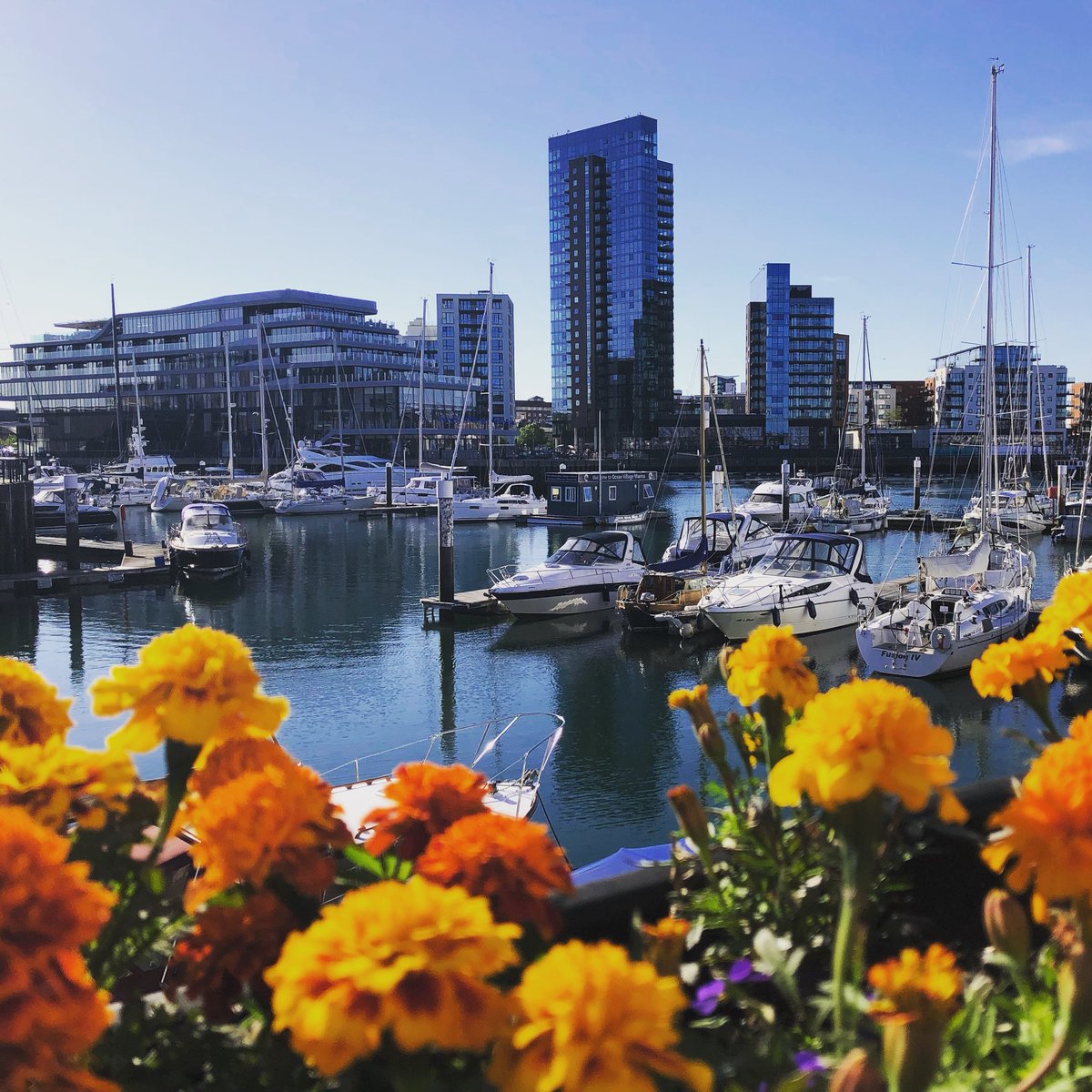 OceanVillagePic's tweet photo. Beautiful #weather! https://t.co/YLPgTS0MQy