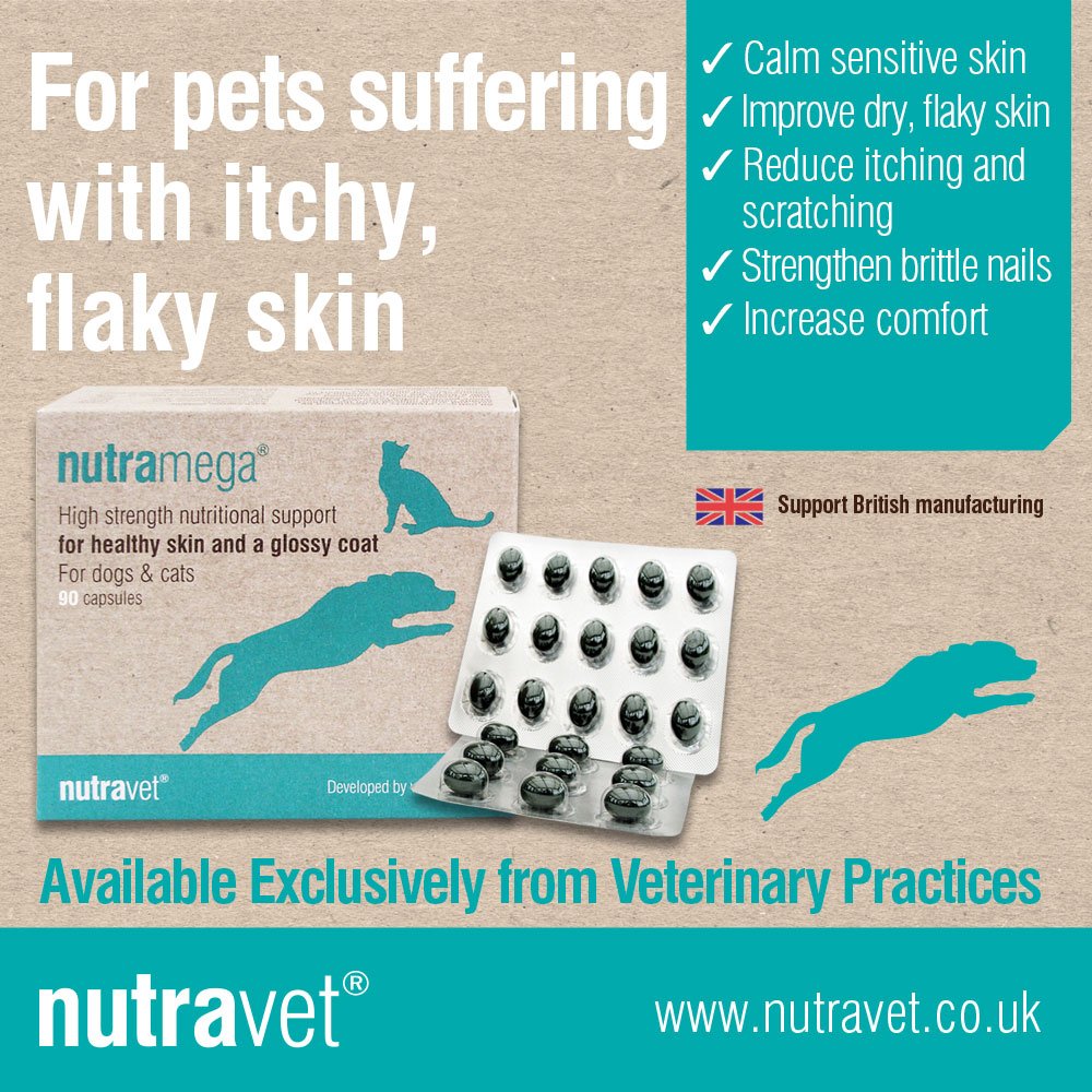 nutravet's tweet photo. Warmer weather can often mean itchy & sensitive skin for #pets. If your pet is itching or scratching more, ask your vet about #nutramega.
It has key ingredients to aid healthy skin and coat - https://t.co/YuxQXkg8lx
#cats #dogs #naturalanimalhealth #sensitiveskin https://t.co/5bvilw790D