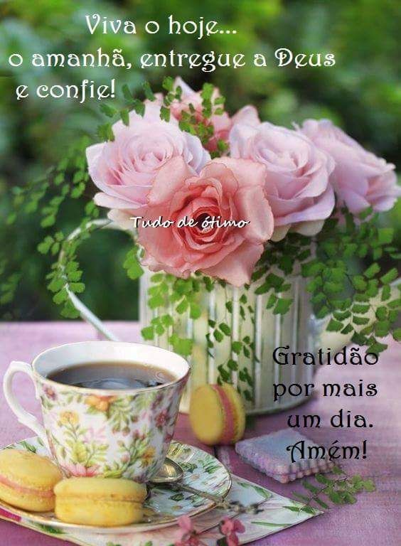 Gilcélia⚘ on Twitter: Gilcélia⚘ on Twitter: