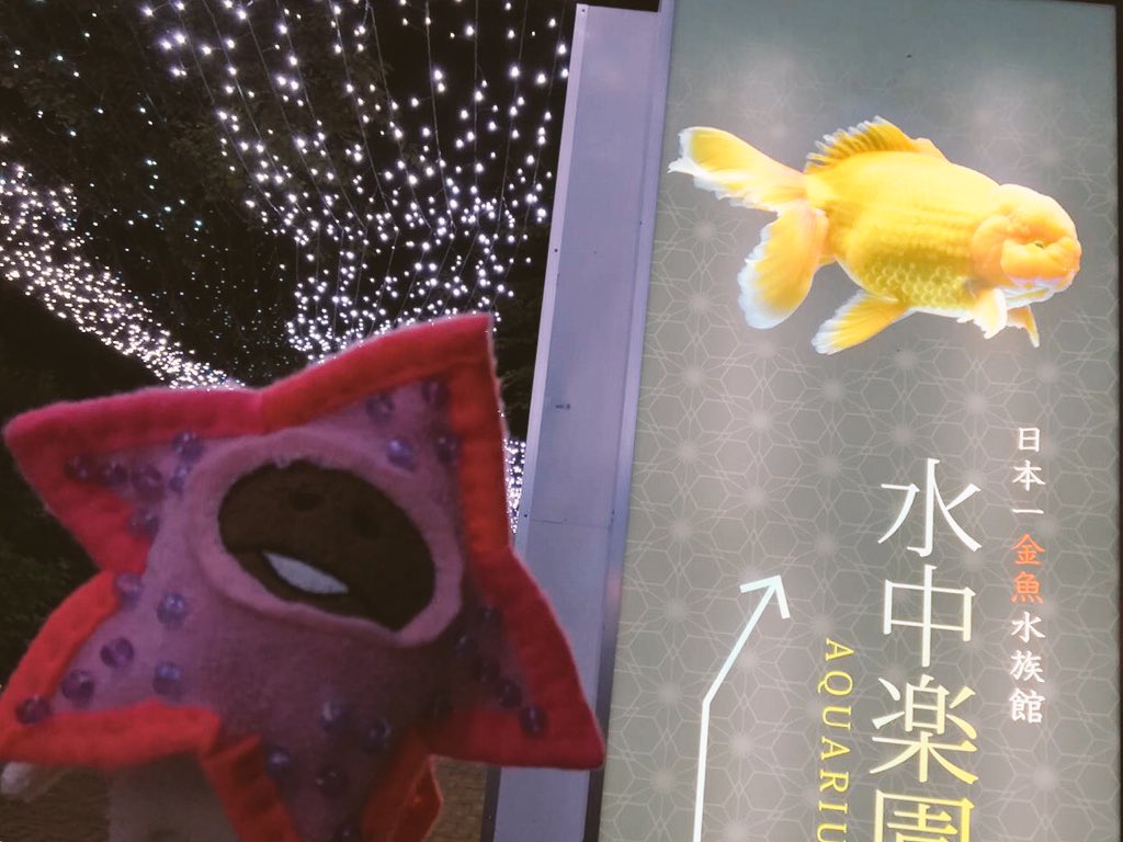 Namecomodoky んふんふ 日本一金魚水族館 水中楽園アクアリウム 時之栖 なめこ Namecomodoky んふんふ 日本一金魚水族館 水中楽園アクアリウム 時之栖 なめこ