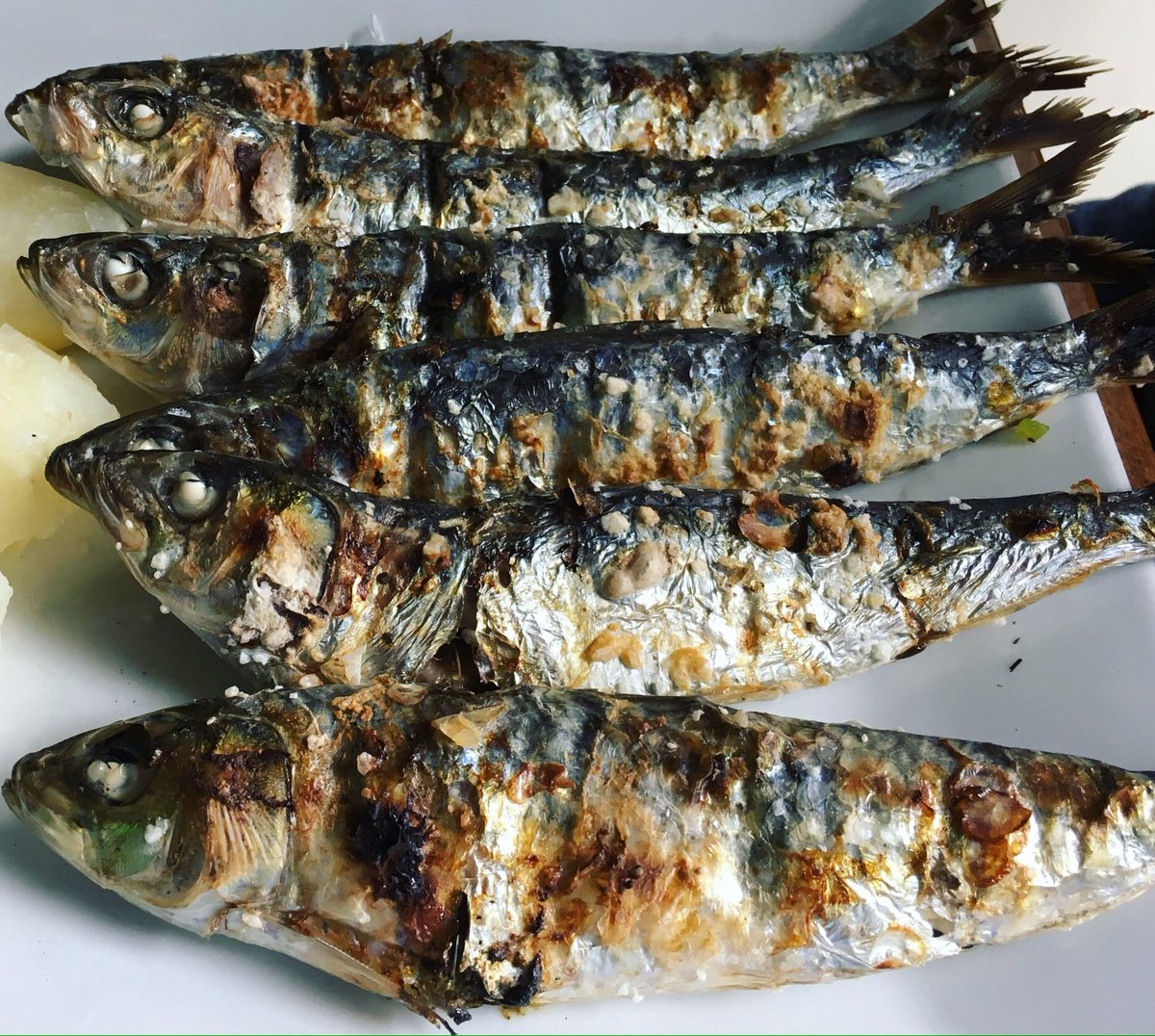 Grilled Portuguese Sardines!
#grilledsardines #portuguesesardines #sardines #sardinhas #portuguesecuisine #portuguesechef #sharethechef #sharethechefct #popupdinner #winedinner #ctdelicious #eatinct #eatinconnecticut #ctbites #cteats #fish #fishlover #newtownct