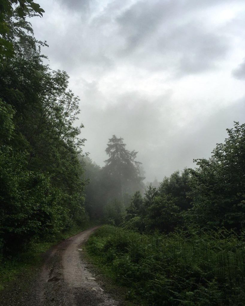 Alastair H-R | Tracker Al tweet media