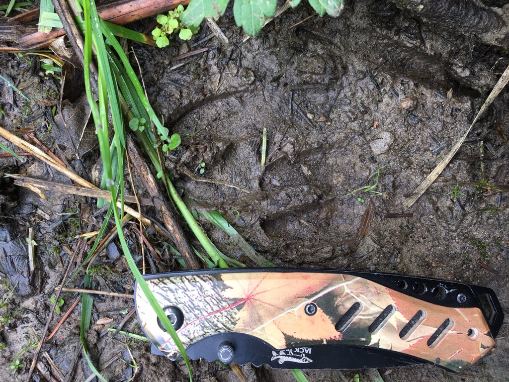 Alastair H-R | Tracker Al tweet media