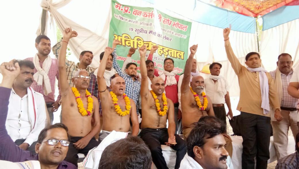 mpforest ranger association tweet media