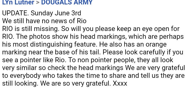MissingPetsGB's tweet photo. ๐ถ #Rio still #MISSING
Please keep an eye open for RIO. The photos show his head markings,which are perhaps his most distinguishing feature.He also has an orange marking near the.. https://t.co/XwgcuFTQgS