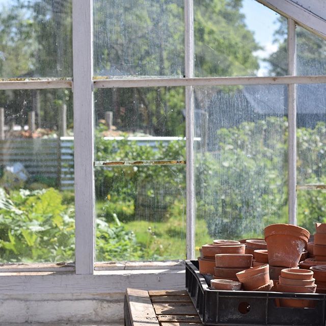 Has anyone else been loitering in stately home greenhouses recently ? 🙈😆
.
🌱🌱🌱
.
 #ihavethisthingwithglasshouses #theslowdowncollective #awakethelight #omagbreathingspace #simplicityfound #cornersofmyworld #thatvelvetfeeling #nothingisordinary #o… ift.tt/2J6pD1p