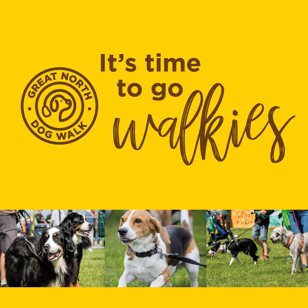 Today's the day and it's time to go walkies!!! The walk starts at 9.30am and goes on until 4pm. There's plenty of activities, food and entertainment for you and all of the family to enjoy so come and give us a wave! See you at the finish line... 🐕🐩