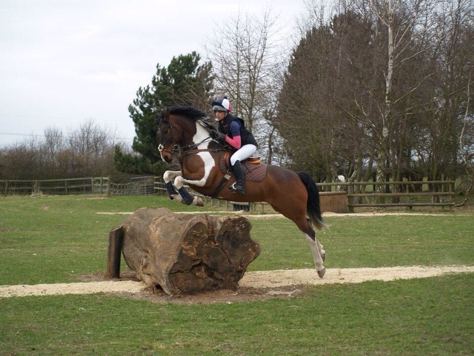 UoNRiding's tweet photo. Good luck to A Team rider Millie who is on her way to BUCS Nationals today... we will be bringing you updates over the next 3 days with final results on Wednesday 🤞🤞🤞#greenandgold #BUCSEquestrian https://t.co/1xL2TxWwGm