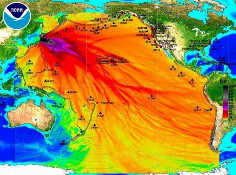  MITO 9: «Fukushima está contaminando gravemente todo el océano pacífico» REALIDAD: La primera imagen es utilizada con frecuencia para ilustrar el mito y corresponde a la altitud del tsunami (escala en cm). Recomiendo leer el hilo de  @ecosdelfuturo  https://twitter.com/ecosdelfuturo/status/972513231087587328