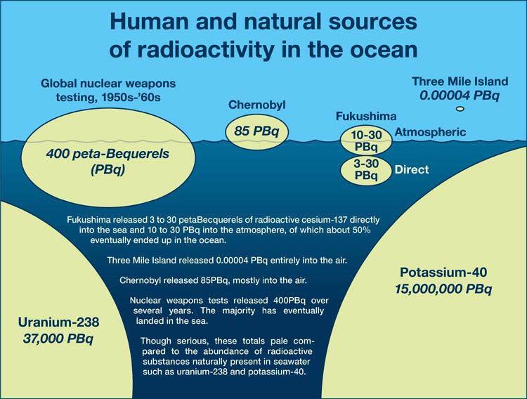  MITO 9: «Fukushima está contaminando gravemente todo el océano pacífico» REALIDAD: La primera imagen es utilizada con frecuencia para ilustrar el mito y corresponde a la altitud del tsunami (escala en cm). Recomiendo leer el hilo de  @ecosdelfuturo  https://twitter.com/ecosdelfuturo/status/972513231087587328