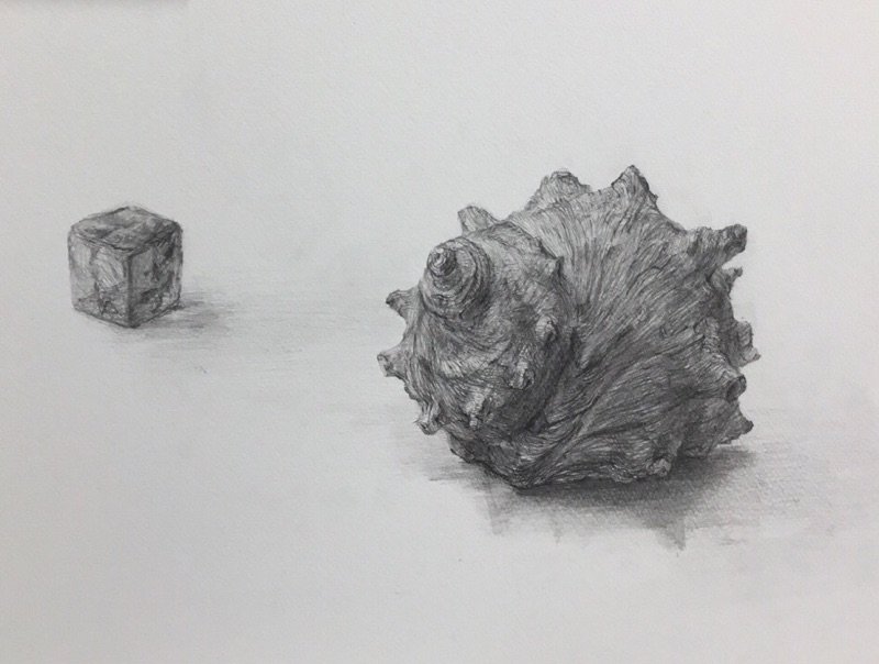 すいどーばた美術学院 基礎科です 今週の課題はサザエと角ガラスの細密デッサンでした 良い作品が沢山でました 細密デッサンは時間がかけれる分 描き込みと形態感のバランスが難しいと思います 描く前に よく観察してどんな構造になっているのか すいどーばた美術学院 基礎科です 今週の課題はサザエと角ガラスの細密デッサンでした 良い作品が沢山でました 細密デッサンは時間がかけれる分 描き込みと形態感のバランスが難しいと思います 描く前に よく観察してどんな構造になっているのか