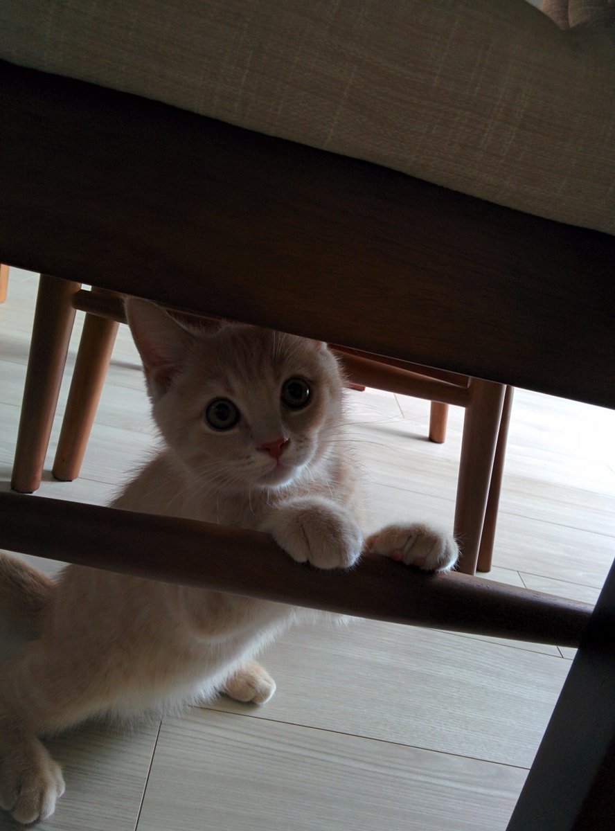 つなまる Tsuna Maru Twitter