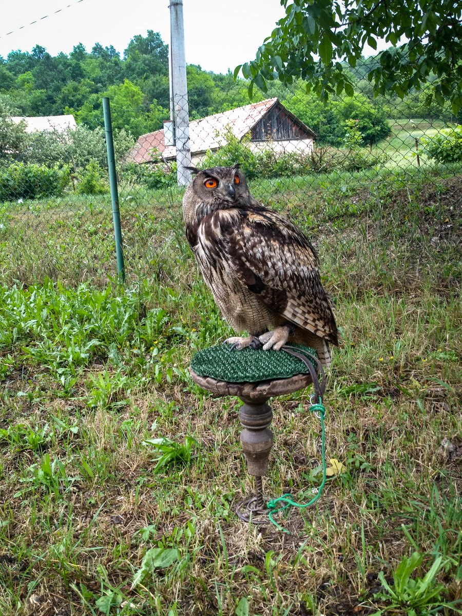 #nature #Visa #photography #PhotographyArt #photo #photobooth