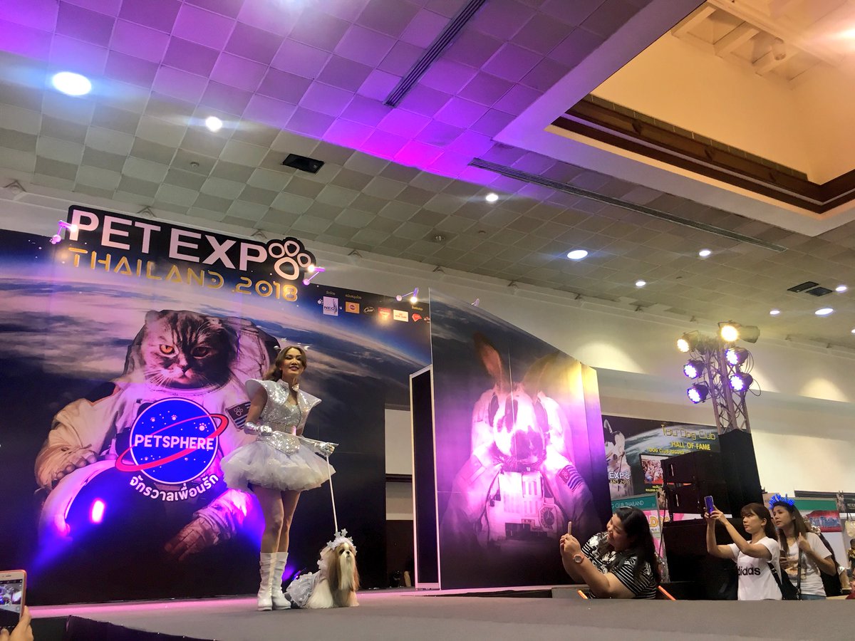 CurtisSChin's tweet image. #Fintech? Try #dogtech. So they said I’d be seated in the front row of the #Catwalk…. Make that #dogwalk... #dogsofTwitter #PetExpo #Thailand