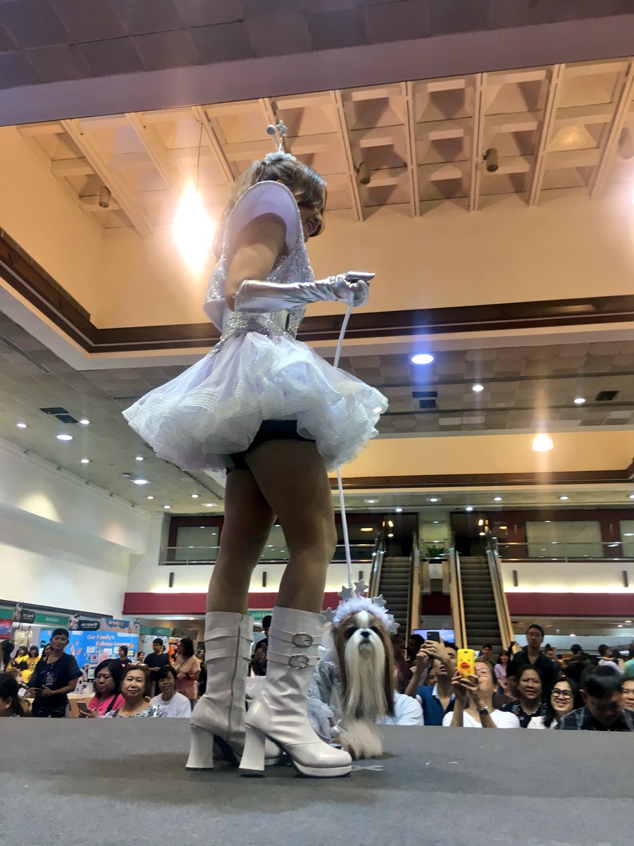 CurtisSChin's tweet image. #Fintech? Try #dogtech. So they said I’d be seated in the front row of the #Catwalk…. Make that #dogwalk... #dogsofTwitter #PetExpo #Thailand