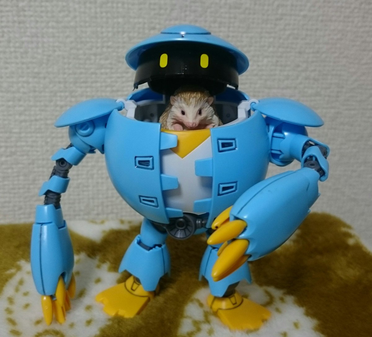 青ヒ No Twitter ガンプラは自由だ モモカプルかわいい