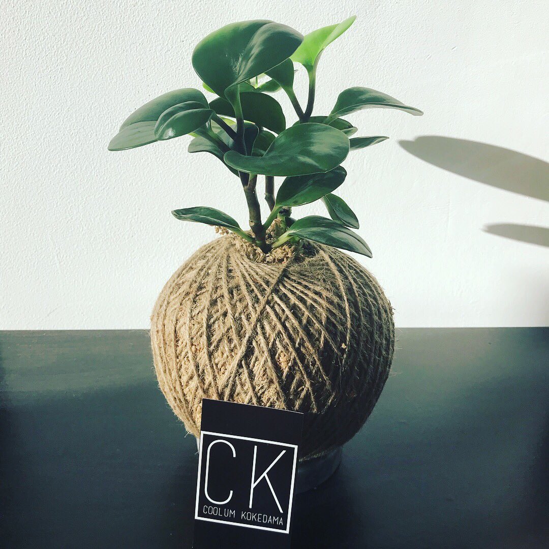 Philip Jackson tweet media