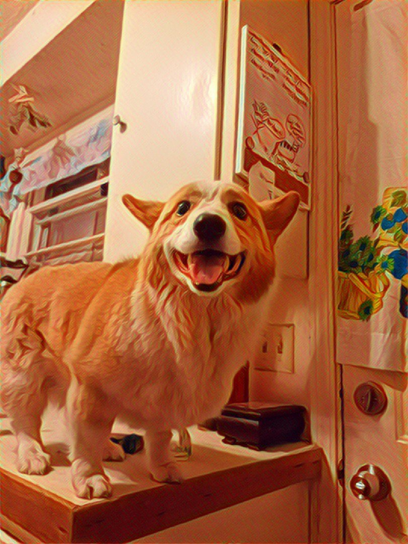 shumba9000's tweet photo. #corgi #dogonthekitchencounter #howdidhegetthere https://t.co/iimsG1Zr7B