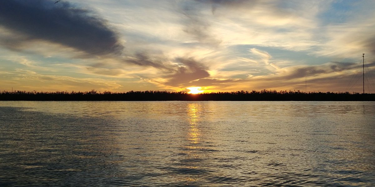 scouter415 tweet picture