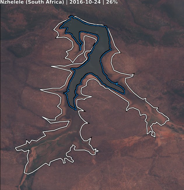 BlueDot Observatory tweet media