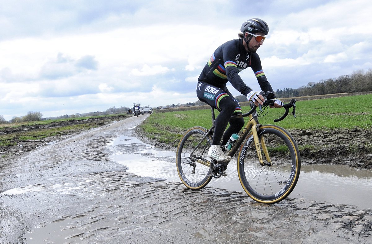 Peter Sagan tweet media