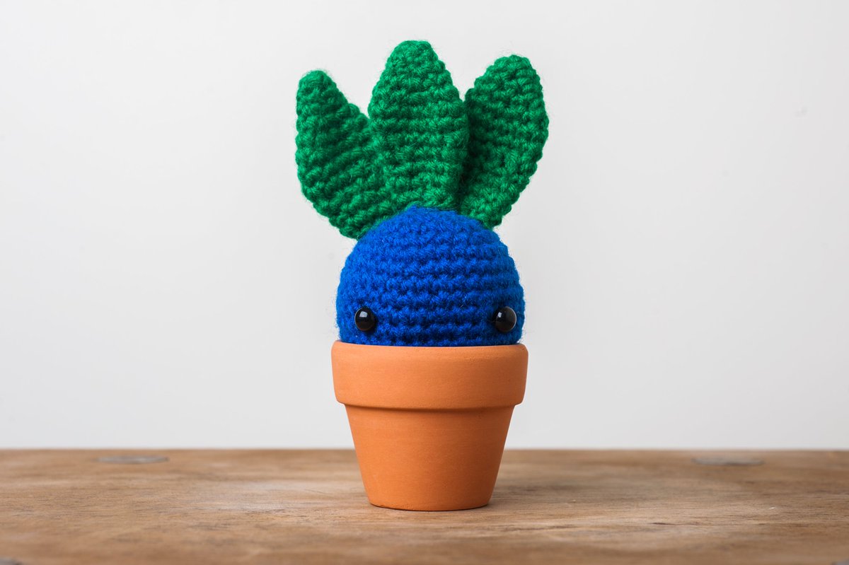 tinyrabbithole's tweet photo. Peekaboo! Do you know who I am?
#pokemon #oddish #pokemonamigurumi #plantpokemon #amigurumi #crochet #crocheted #handmade #sgdesign #sgcraft #makeyourown #boredpanda #evergreen #plantsthatdontdie #makersmovement #modernmaker #waketomake #haken https://t.co/SchMqZfEqe