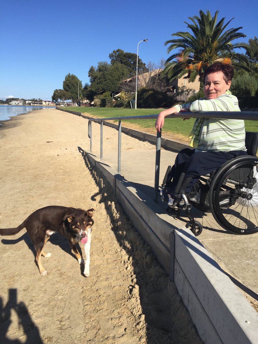 melissamadsen's tweet photo. Thanks to @CharlesSturtSA for putting in a beach ramp for my arthritic dog

#a11y #disabililty #SeniorDog #Kelpie https://t.co/wT2wi66NbH