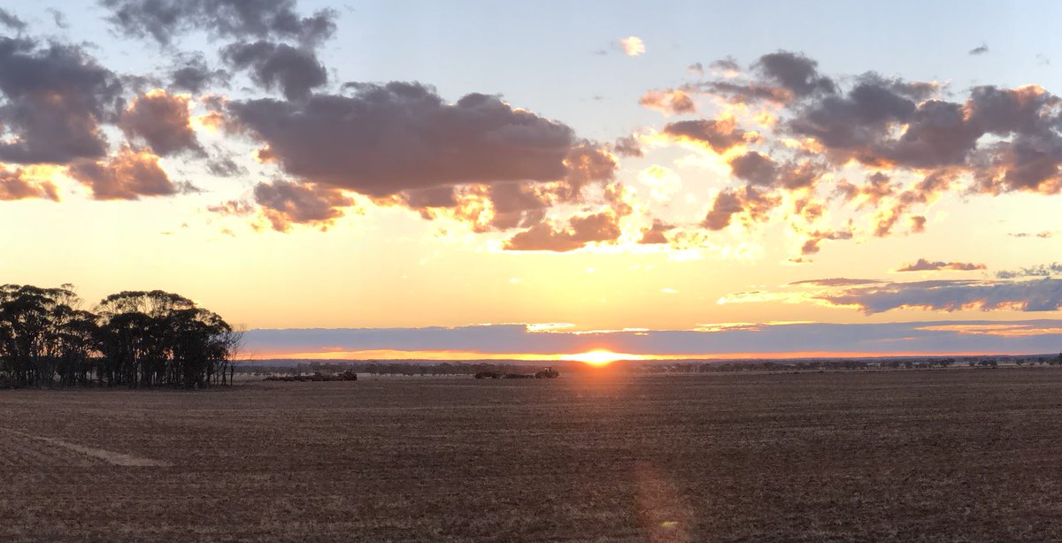 Sthn X Farmer tweet media