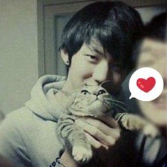 myharudesix's tweet photo. four treasures that i cherish: https://t.co/3MtOQZw1T2