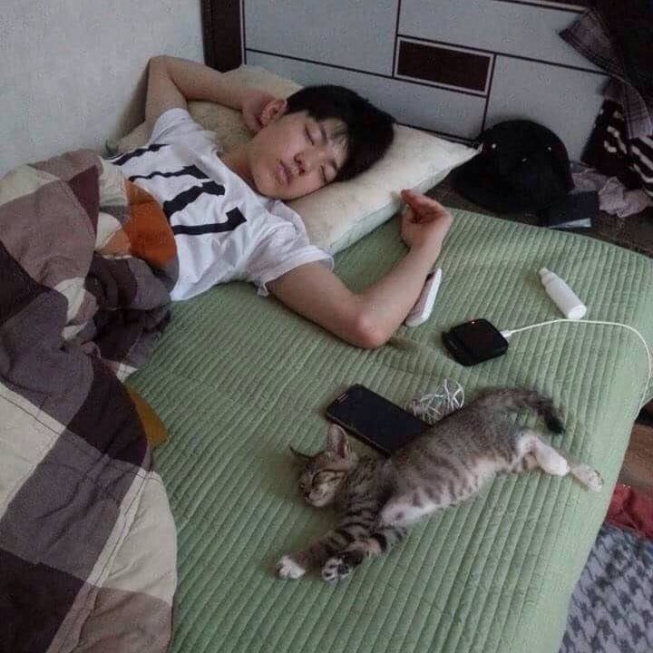 myharudesix's tweet photo. four treasures that i cherish: https://t.co/3MtOQZw1T2