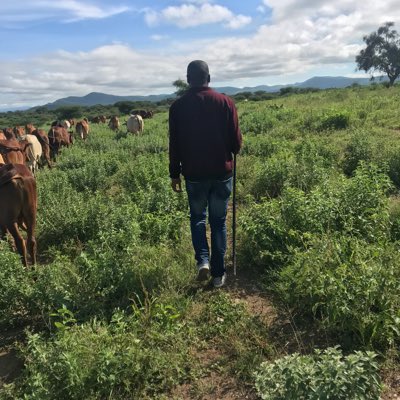 OtumaNic's tweet photo. #NewProfilePic https://t.co/m9epJCWB3G