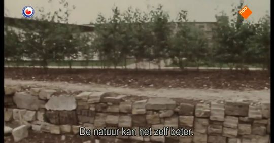 'De natuur zeggen de mensen, dat is mooi. Ik zeg: O, is dat zo? De natuur is elke dag moord en brand. Maar u kijkt naar bloemetjes zeker? Bloemetjes zijn geen processen, dat zijn tijdelijke dingen.' #LouisLeRoy #ecokathedraal npo.nl/fryslan-dok/02…